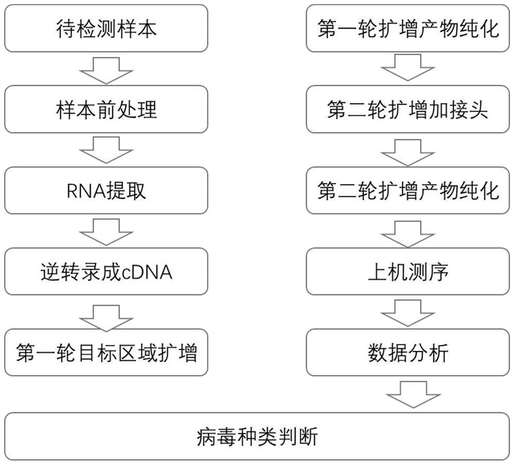 检测常见呼吸道病毒的引物组合及方法