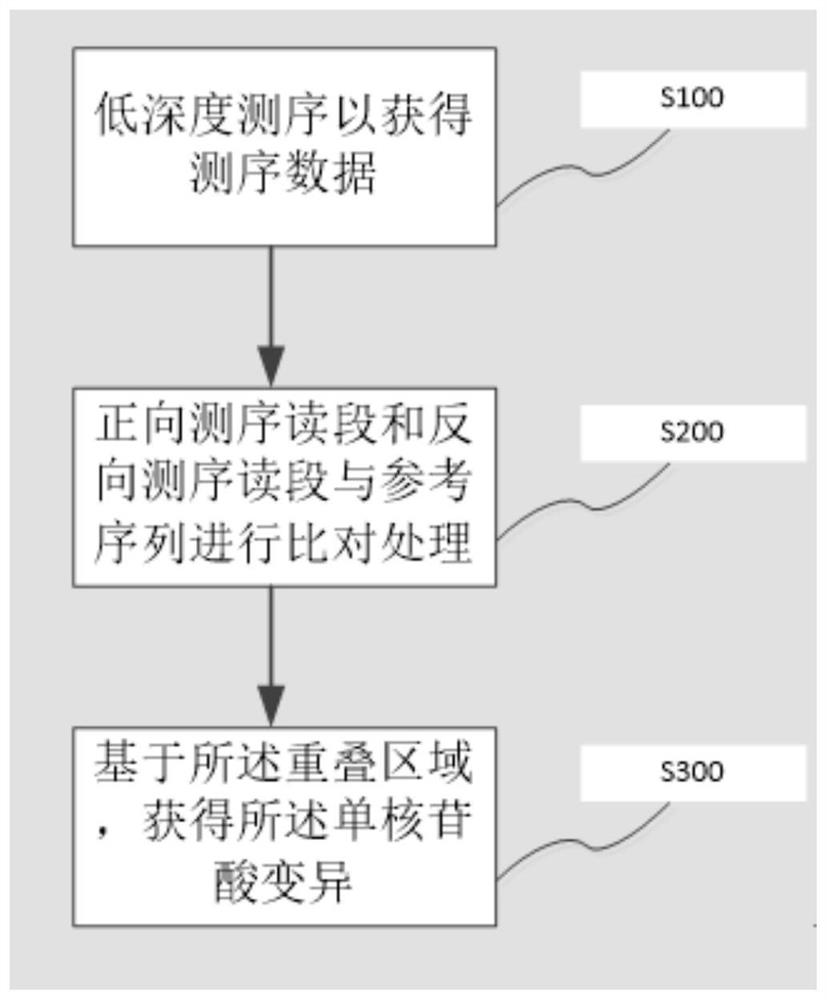 基于单分子测序检测核苷酸变异方法与装置