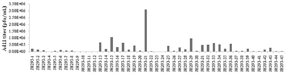 一种提高腺病毒产毒能力的单克隆细胞、细胞库及制备方法