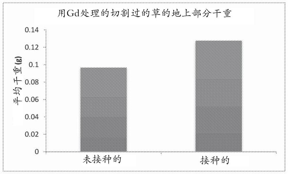 植物接种方法