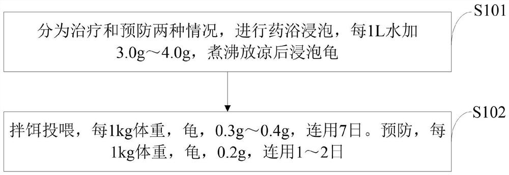 一种防治龟白眼病中草药组合物、制备方法及应用