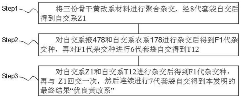 一种利用复合杂交方法选育多抗、高配合力优良黄改系的方法