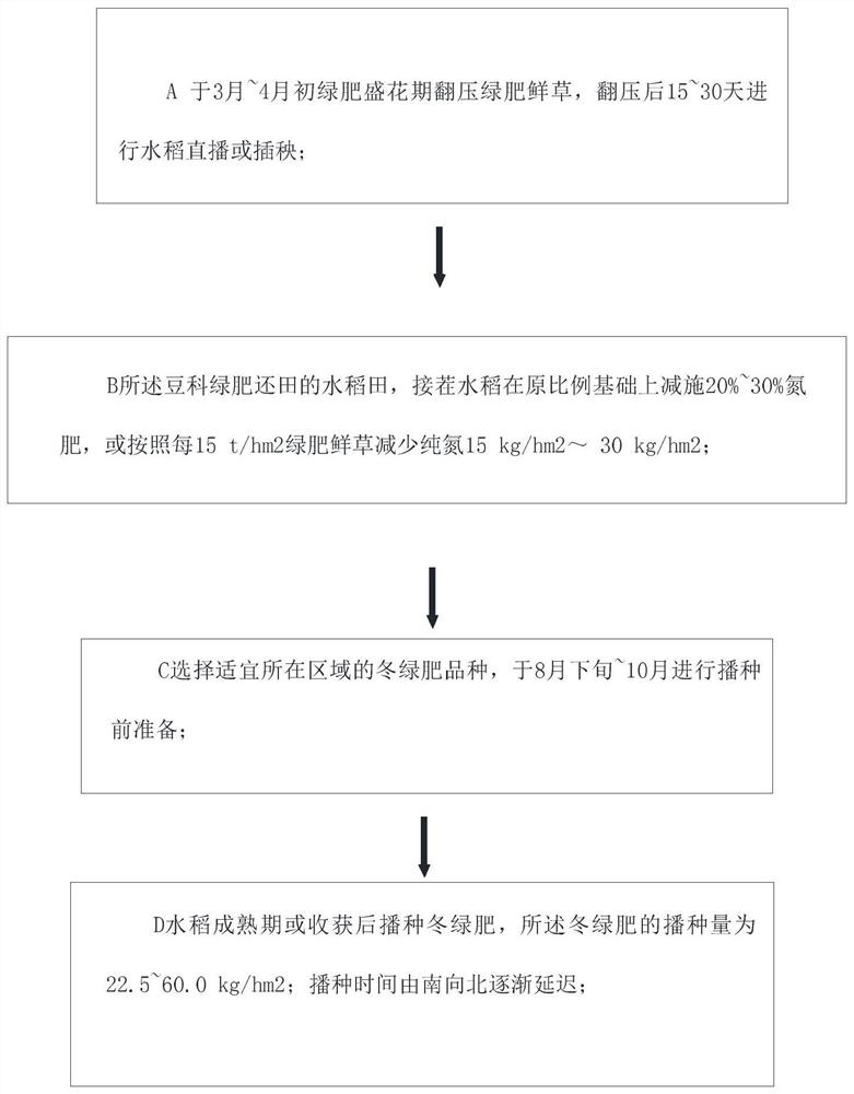 一种提高氨基酸含量的水稻种植方法