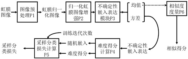 基于采集不确定性解耦的鲁棒虹膜识别方法