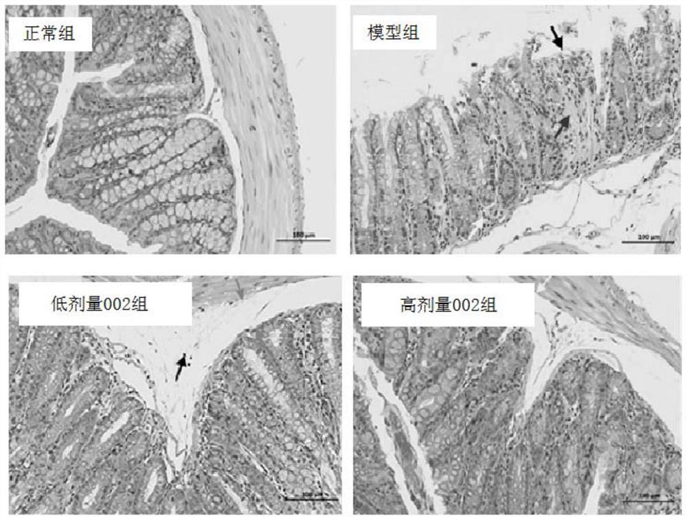 具有灭活菌MN002的微生物制剂及制备方法和应用