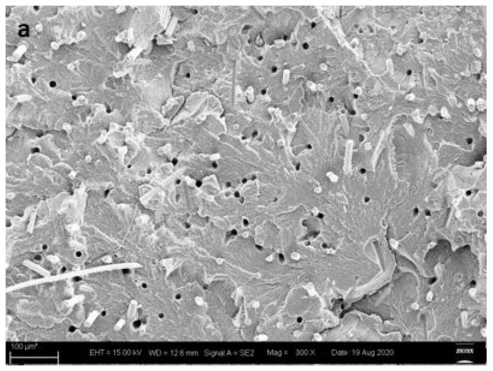氰基硅烷偶联剂改性玻璃纤维的方法及改性玻璃纤维增强尼龙复合材料及其制备方法