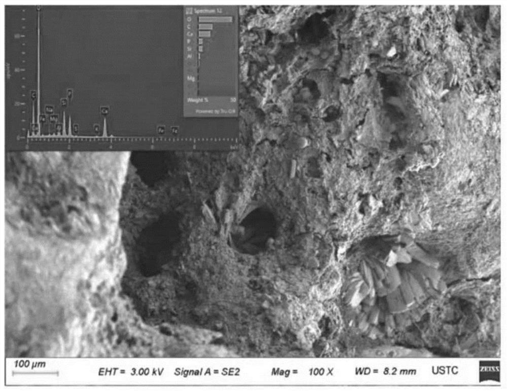 化学微腐蚀珊瑚骨料以及地聚物基超高强珊瑚混凝土的制备方法