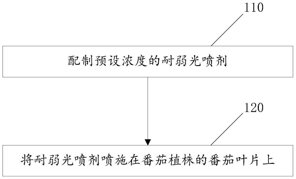 一种提高番茄耐弱光性的栽培方法及装置