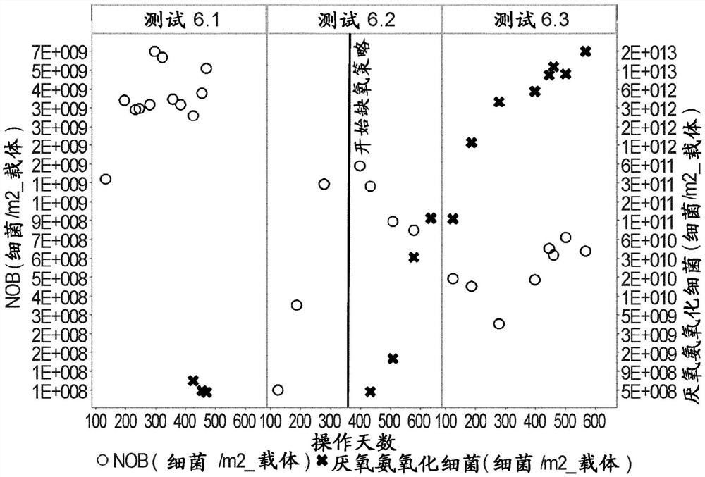 在序批式移动床生物膜反应器中实施的用于同时减少碳、氮和磷的水处理方法