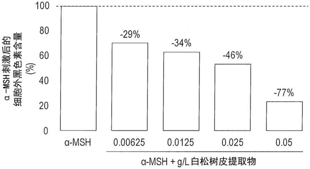 用于减少内皮素-1分泌、干细胞因子合成和蛋白质羰基化的白松树皮提取物