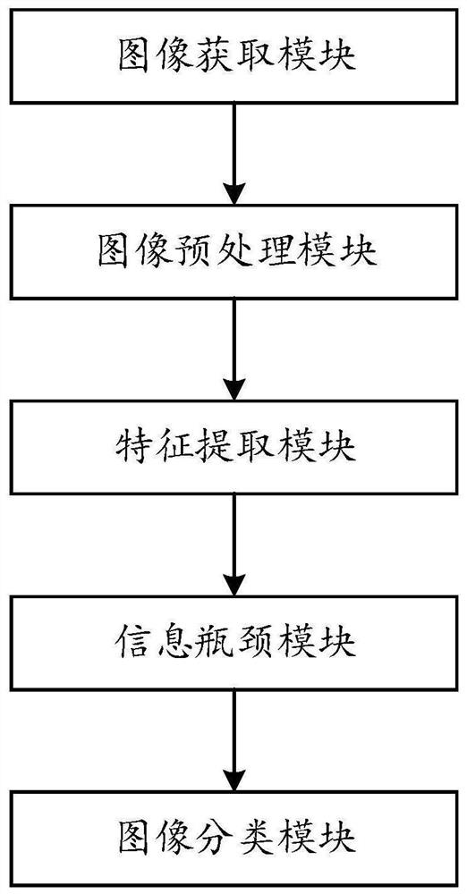 一种基于信息瓶颈的智能乳腺对比增强摄影分类系统