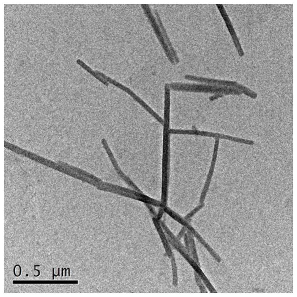 一种靶向染色细胞膜的AIE纳米纤维探针及其制备方法