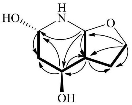八氢呋喃2,3-b吡啶-4,6-二醇及其制备方法和应用