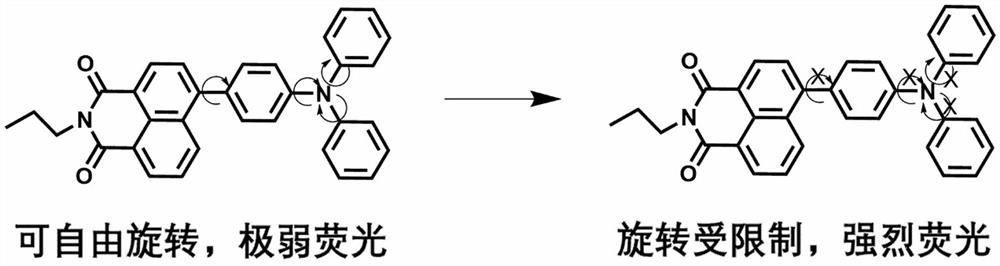 一种用于淀粉糊化度检测的转子型荧光分子及其制备和应用