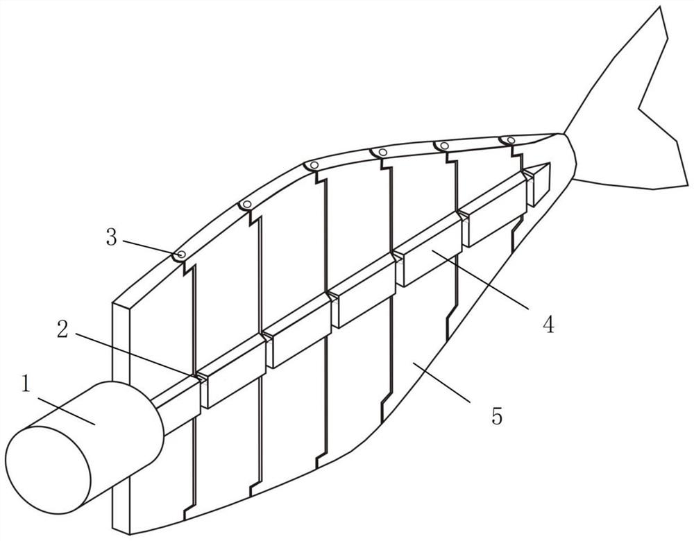 一种鱼形机器人的仿生驱动装置