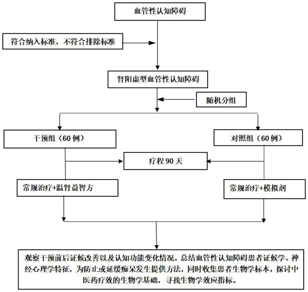 一种肾阳虚型血管性认知障碍的试验方法