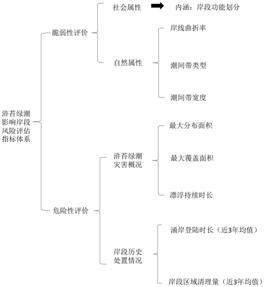 一种浒苔绿潮影响岸段风险评估系统及方法