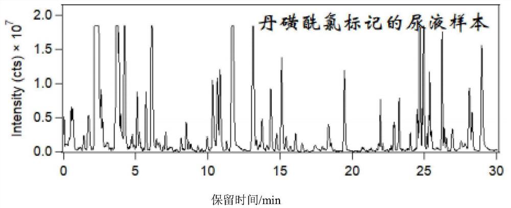 一种羟基类代谢物的衍生化方法及非靶向代谢组学高效分析方法