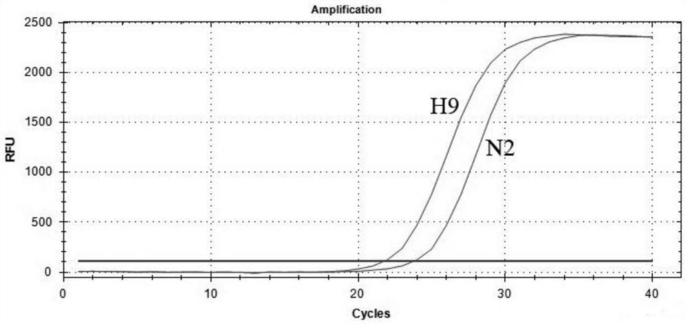 一种H9N2双重荧光定量RT-PCR检测试剂盒