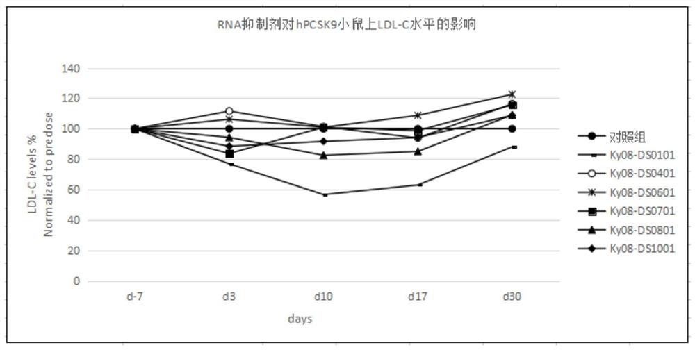 一种抑制PCSK9基因表达的RNA抑制剂及其应用