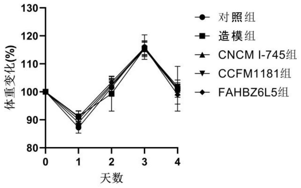 一株可缓解ETEC致腹泻的约氏乳杆菌及其应用