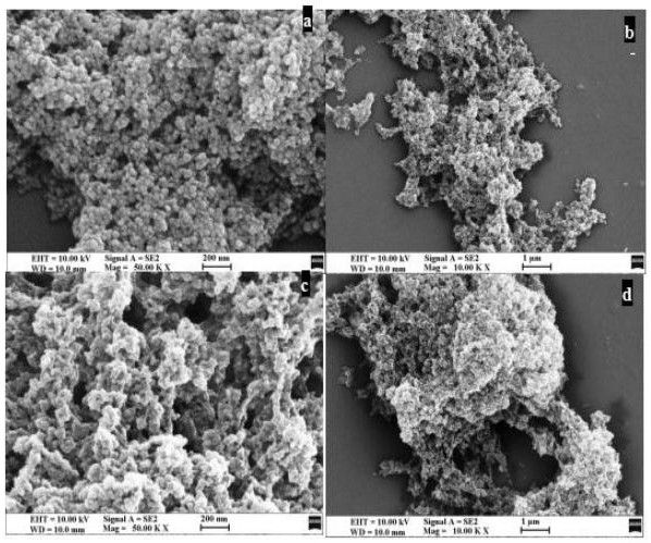 一种双模板表面分子印迹纳米复合材料、其制备方法与应用