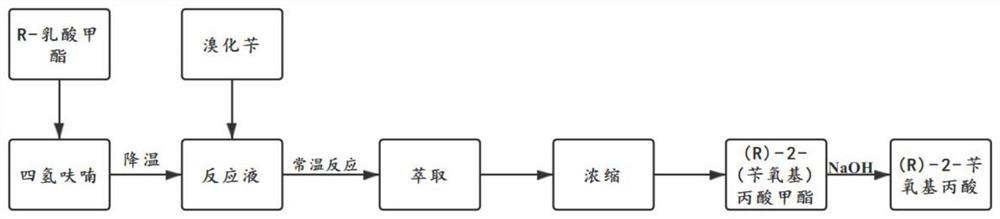 (R)-2-苄氧基丙酸及其中间体的合成方法