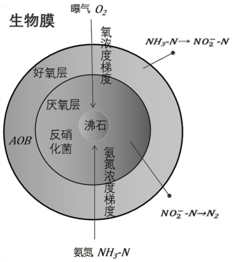 低碳氮比污水亚硝化反硝化脱氮除碳的方法