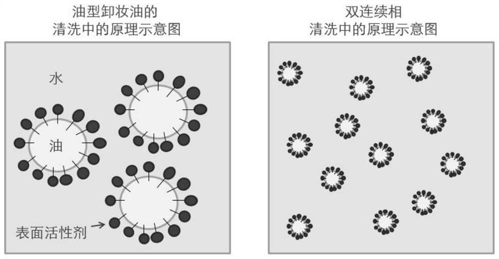 一种具有净颜养肤功效的双连续相卸妆油及其制备方法