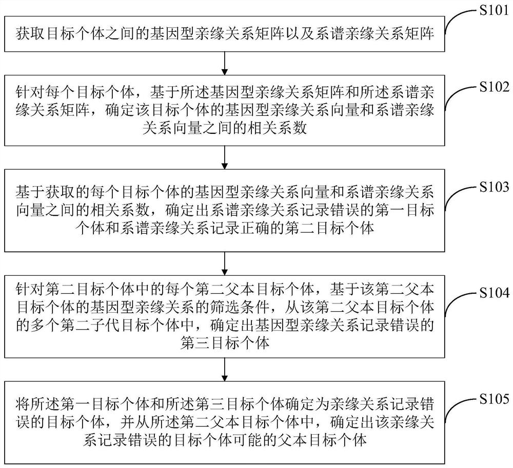 一种系谱的校正方法及装置