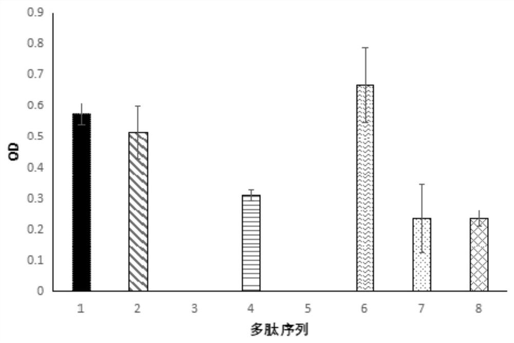 与鸡蛋相关的交叉过敏原作用表位的确定方法