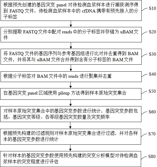 基于液体活检的ctDNA突变程度分析方法和装置、ctDNA性能分析装置