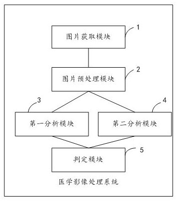 一种医学影像处理系统