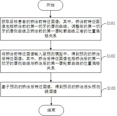 预测模型的生成方法、装置，侧貌预测方法及电子设备