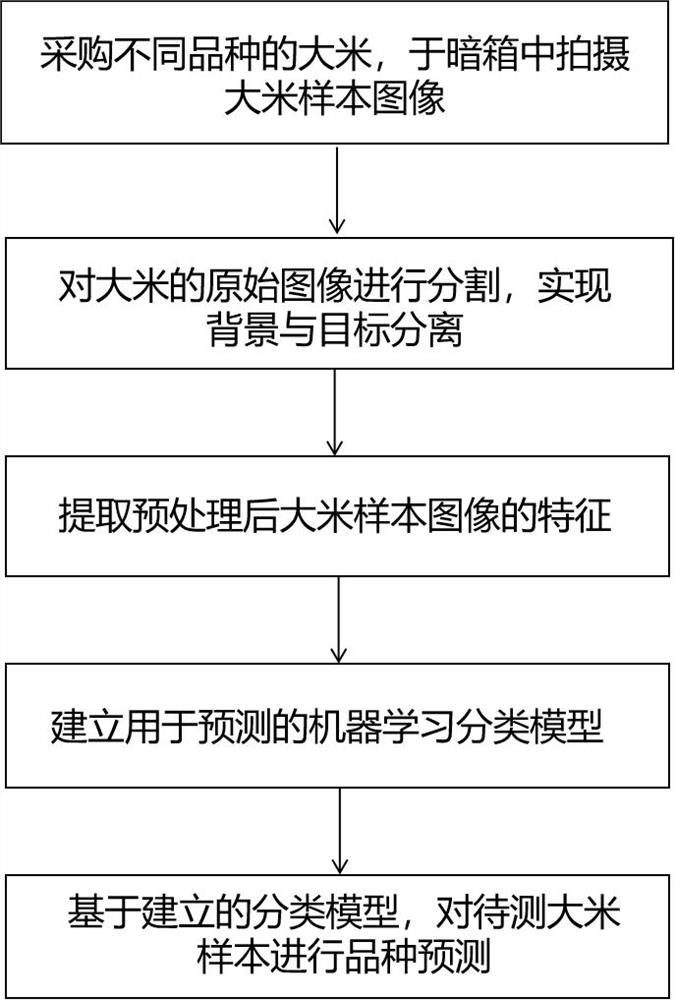 基于机器学习的大米品种快速识别方法