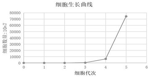 一种人脐带间充质干细胞的分离培养扩增方法及系统