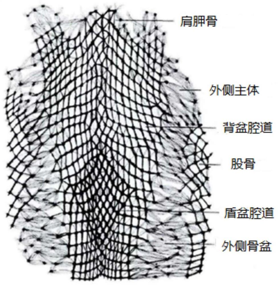 一种仿鸟类羽毛肌的控制结构