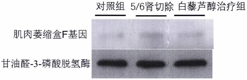 白藜芦醇的应用