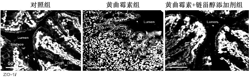 一种防治仔猪肝源性腹泻的饲料添加剂及其制备方法和应用