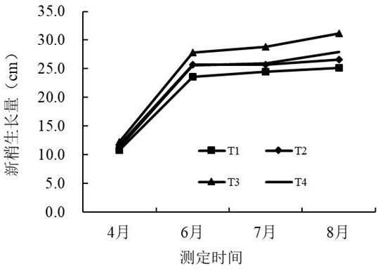 一种用于苹果有机肥定量替代化学氮肥的高效施肥方法