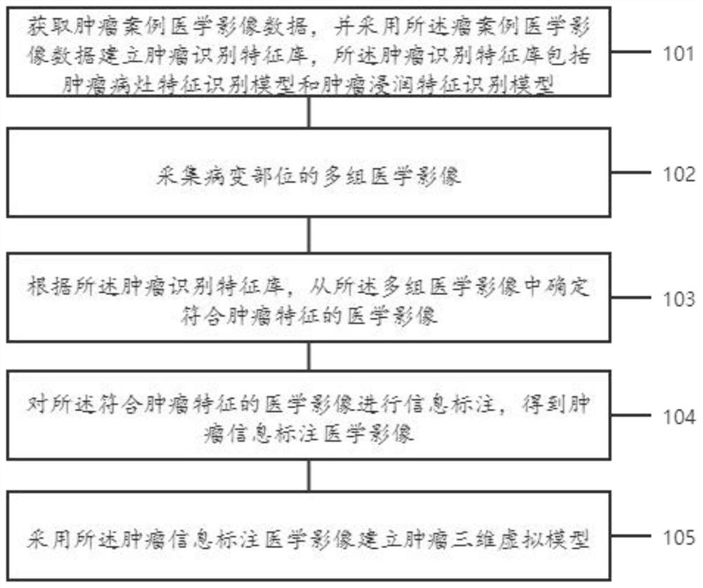 一种人体肿瘤三维虚拟模型的建立方法和装置