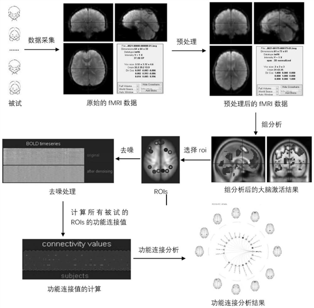 一种基于工作记忆任务的fMRI数据功能连接方法及其应用