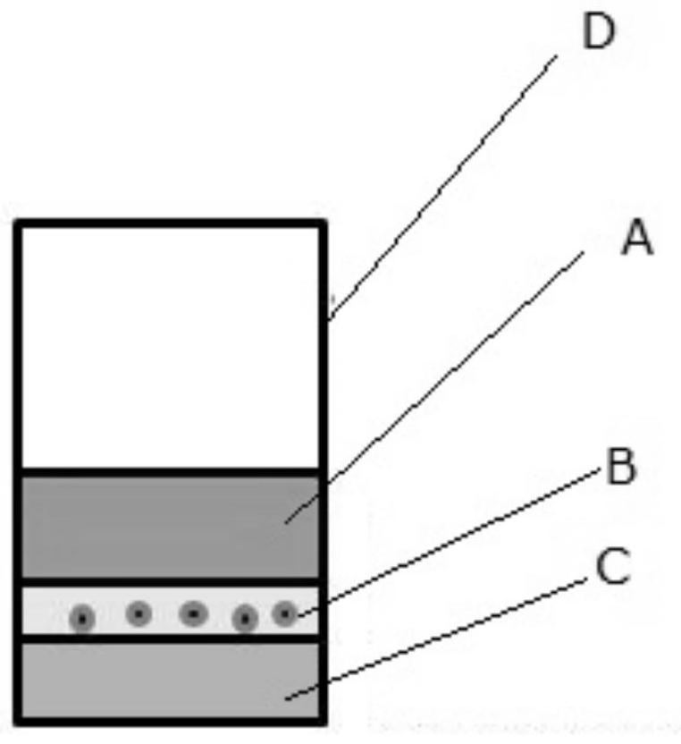 三明治夹层培养体系用于检测类器官对大分子药物敏感性的方法