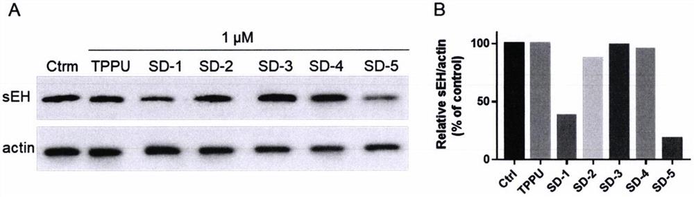 降解sEH的小分子化合物或其可药用的盐、制备方法及用途