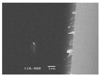 一种抗弯折MXene/碳复合材料散热膜制备方法