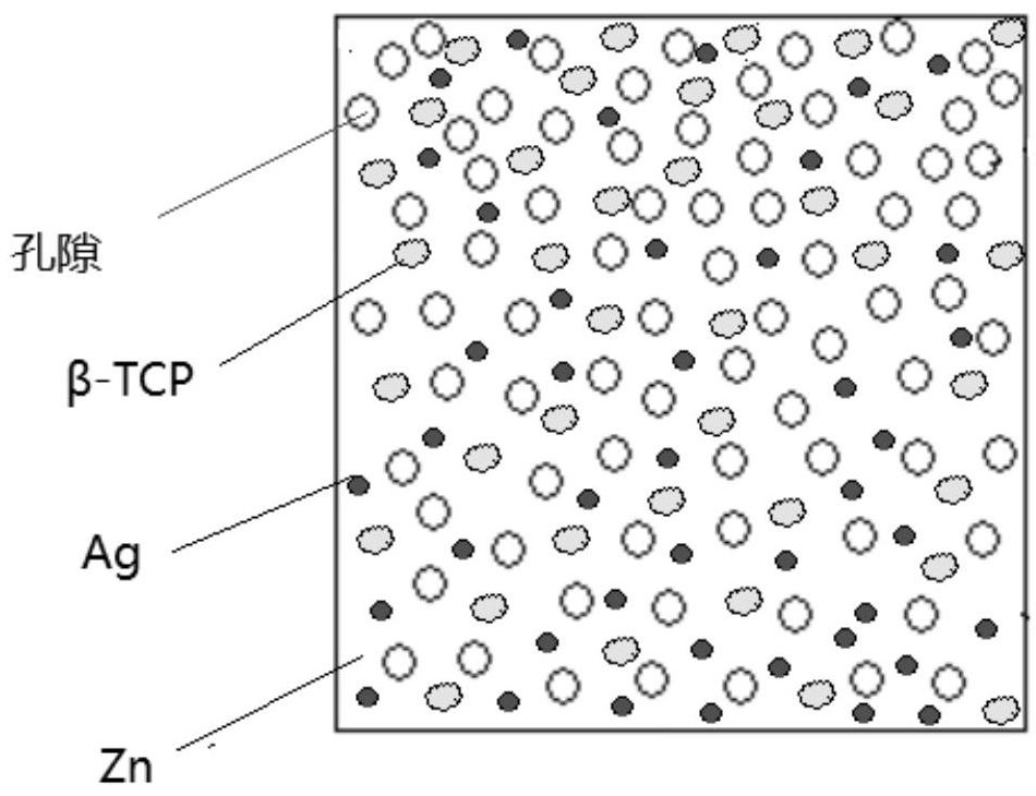 一种多相梯度分布的多孔Zn-Ag-TCP复合材料及其制备方法