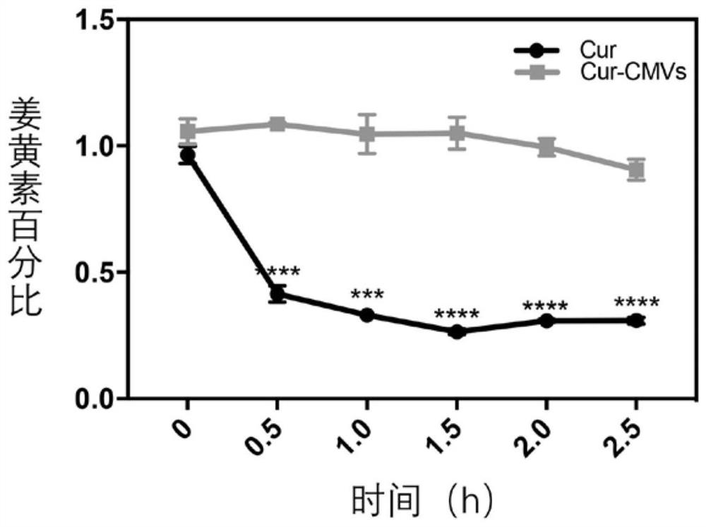 一种靶向炎症区域的细胞膜微囊泡及其应用