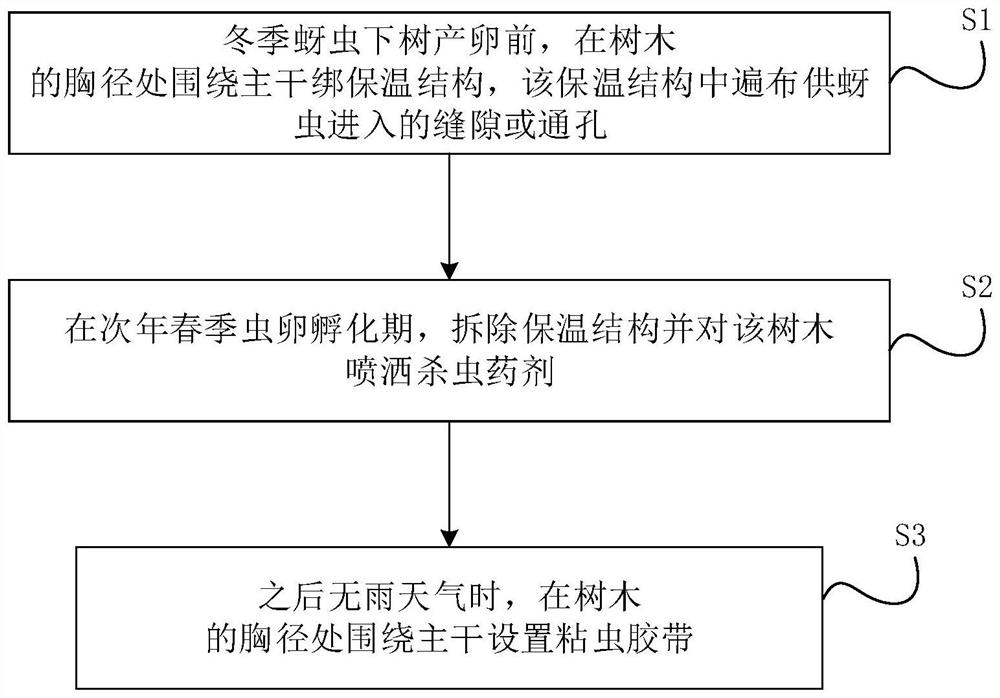 一种应对树木蚜虫的防控方法