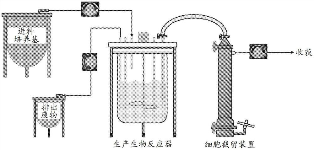 连续细胞培养方法