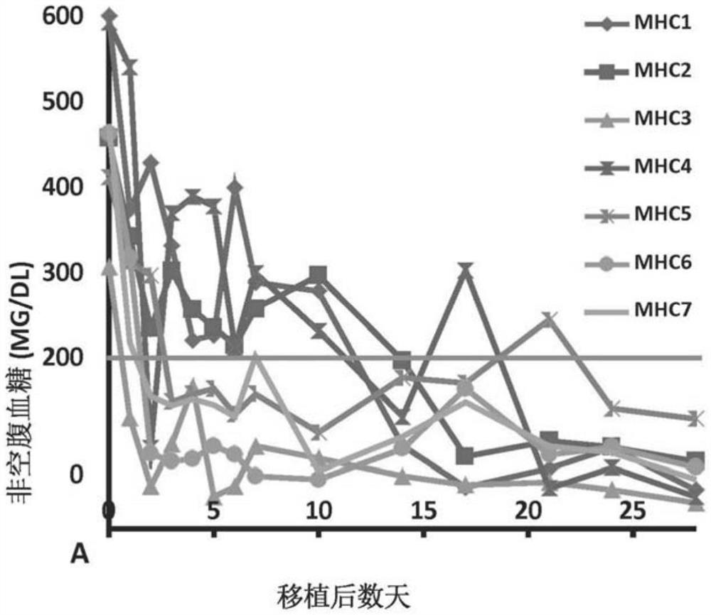 细胞移植物的方法和组成